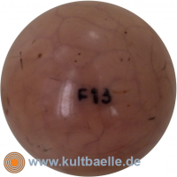 F13 hirni