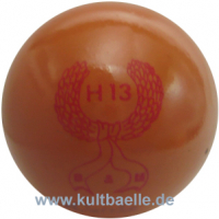 H13
