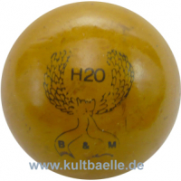 H20