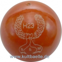 H23