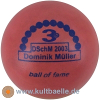 3D BoF DSchM 2003 Dominik Müller