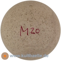 Reisinger M20r