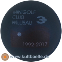 3D 25 J. MC Wallisau