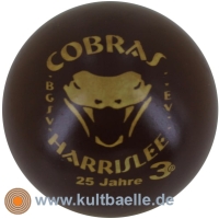 3D 25 Jahre Cobras Harrislee