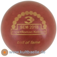 3D BoF SEM 2018 Alice + Roman Kobisch r