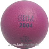 Reisinger sEM 2004