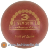 3D BoF SEM 2018 Alice + Roman Kobisch r