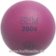 Reisinger sEM 2004