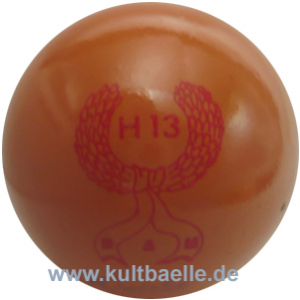 H13