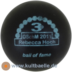3D BoFDSchM 2011 Rebecca Hoch