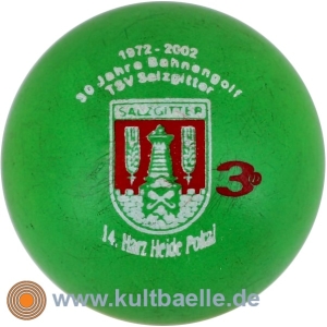 3D 30 Jahre TSV Salzgitter