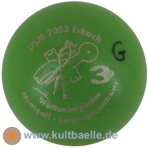 3D DSM 2003 Erbach