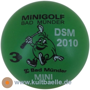 3D DSM 2010 Bad Münder Mini