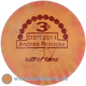 3D BoF DSM 2014 Andrea Reinicke Czerwek