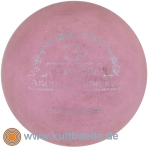 3D BoF DSM 2008 Andrea Reinicke r