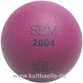 Reisinger sEM 2004